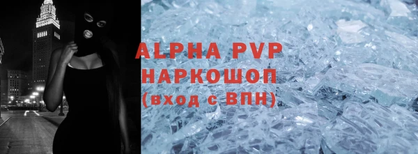 хмурый Абаза