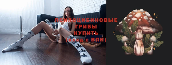 хмурый Абаза