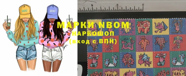 хмурый Абаза
