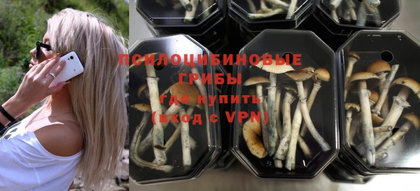 хмурый Абаза