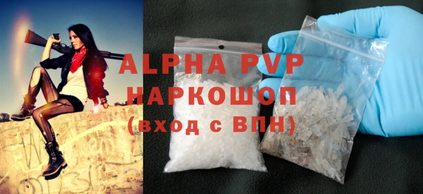 хмурый Абаза