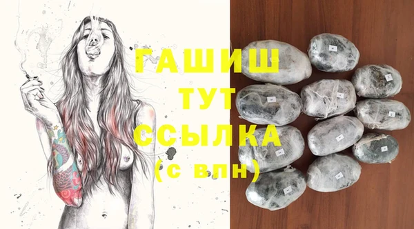 хмурый Абаза