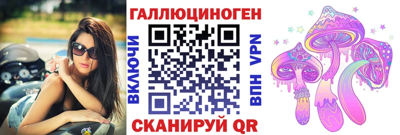цены   Заринск  Псилоцибиновые грибы Psilocybine cubensis 