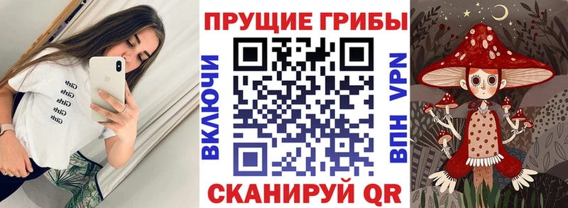 Псилоцибиновые грибы прущие грибы Заринск