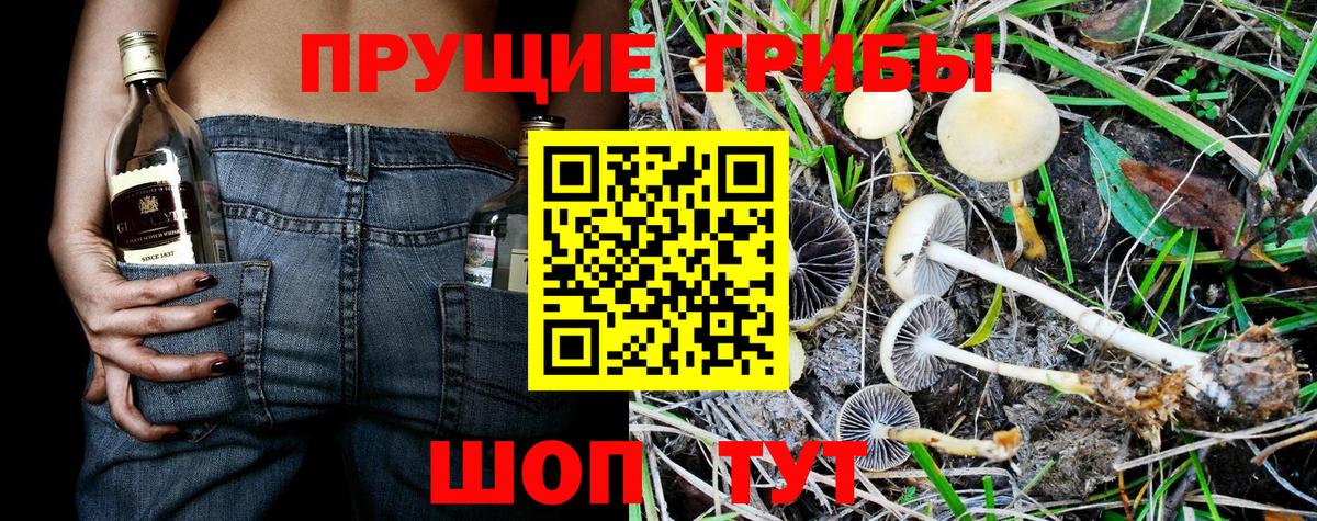 Галлюциногенные грибы MAGIC MUSHROOMS Заринск